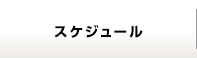 スケジュール